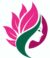 Hh Organic Hair Oil